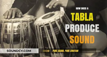 The Science Behind Tabla's Sound: A Deep Dive into Its Mechanics