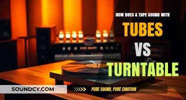 Tubes vs. Turntable: Unveiling the Sonic Magic of Tape Playback