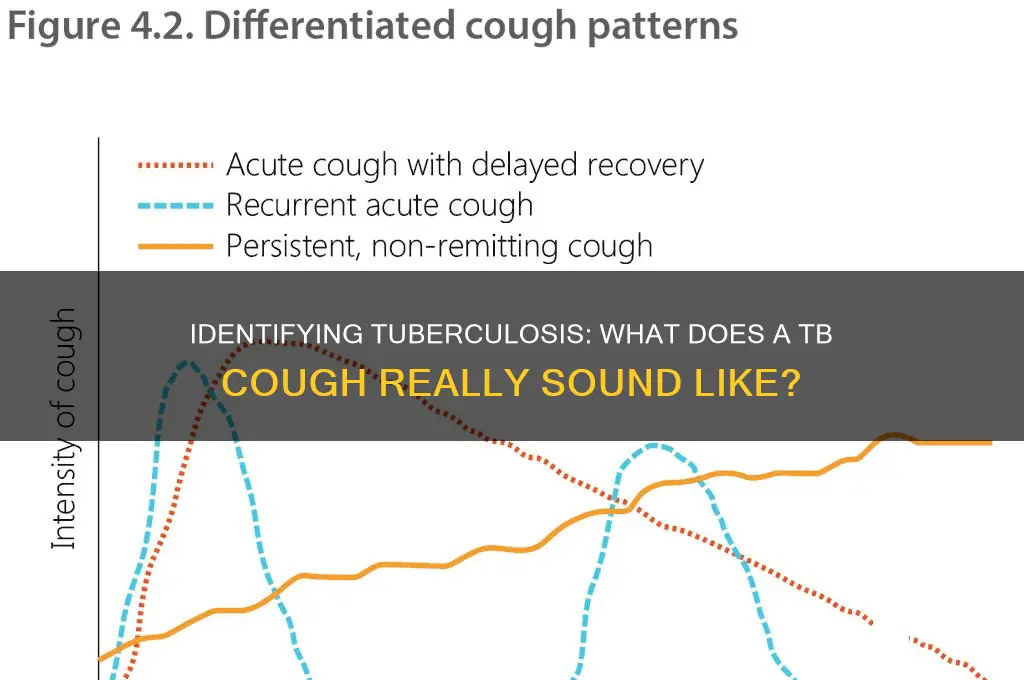 how does a tb cough sound
