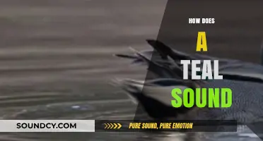 Exploring the Unique Call of the Teal: What Does It Sound Like?