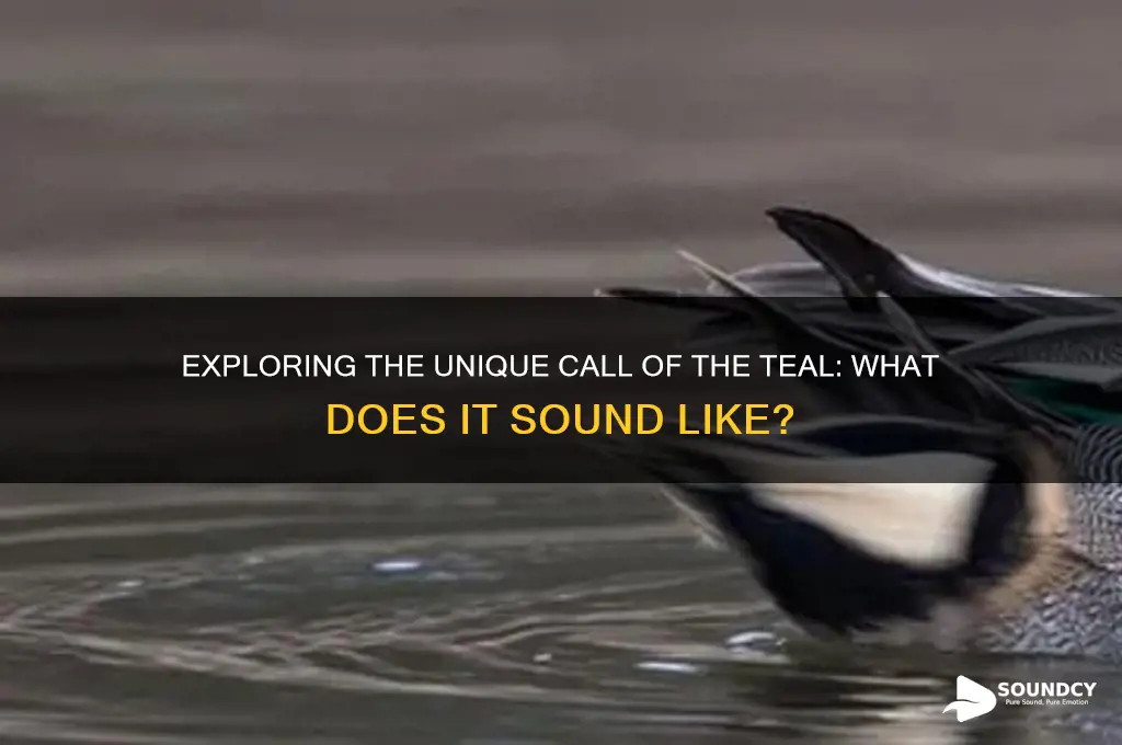 how does a teal sound