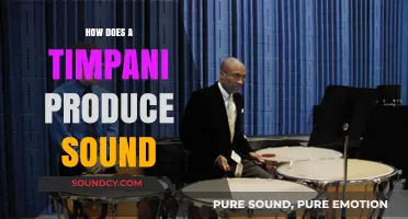 Unveiling the Vibrant Resonance: How Timpani Drums Create Their Majestic Sound