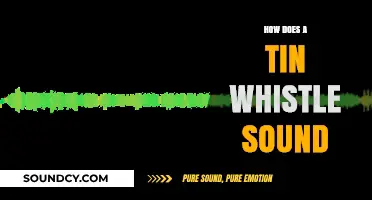 Discover the Unique, Melodic Tone of a Tin Whistle
