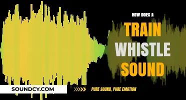 The Haunting Melody: Decoding the Unique Sound of a Train Whistle