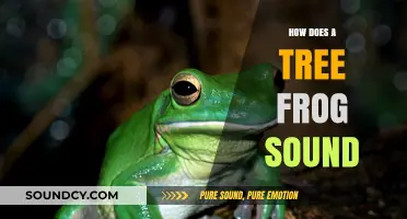 Discover the Unique Croaks and Calls of Tree Frogs