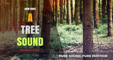 Listening to Nature: Uncovering the Unique Sounds of Trees