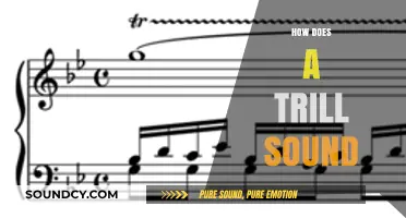 Mastering the Trill: Understanding Its Unique Sound and Technique