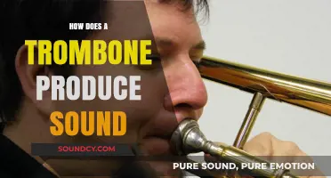 Unveiling the Trombone's Buzz: How Air and Brass Create Sound