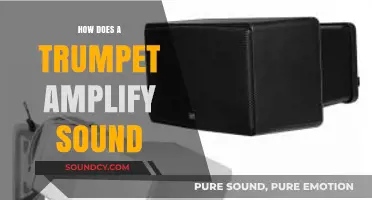 How Trumpets Amplify Sound: The Science Behind the Brass Instrument
