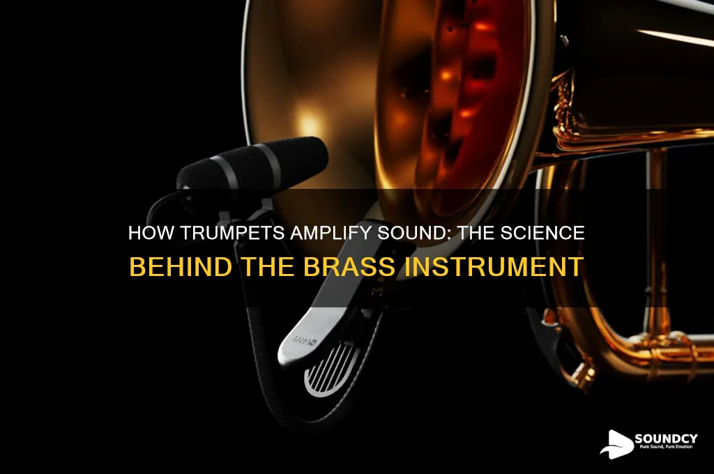 how does a trumpet amplify sound