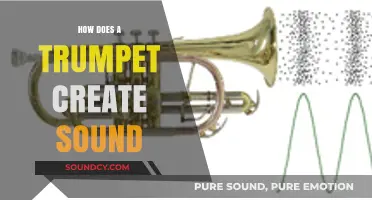 How Trumpets Produce Sound: The Science Behind the Brass Instrument