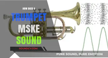 How Trumpets Produce Sound: The Science Behind the Brass Instrument