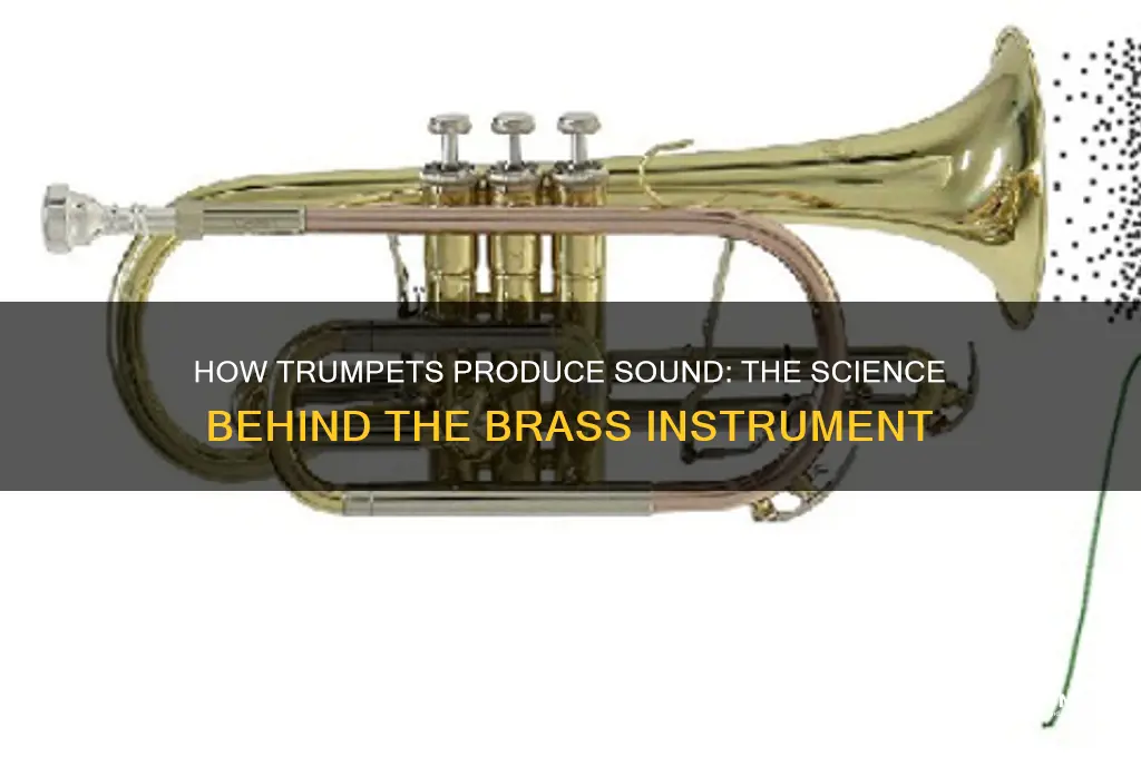 how does a trumpet mske sound