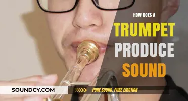 Trumpet Sound Production: How Does It Work?