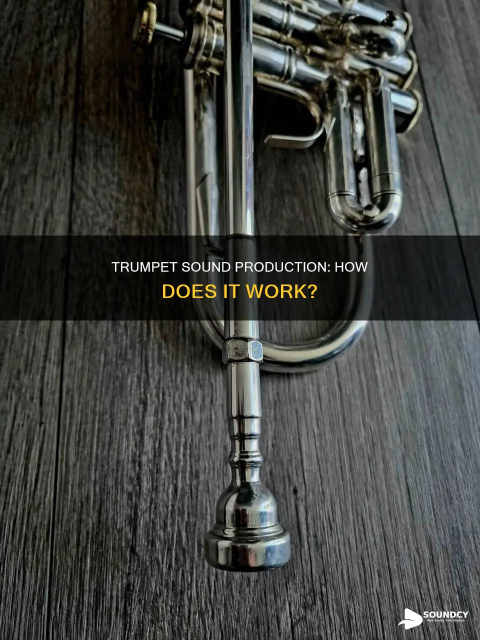 how does a trumpet produce sound