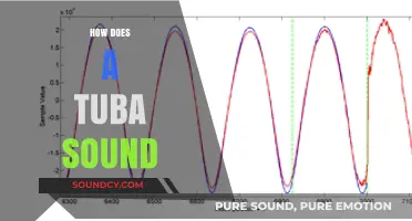 Exploring the Rich, Deep, and Resonant Sound of the Tuba