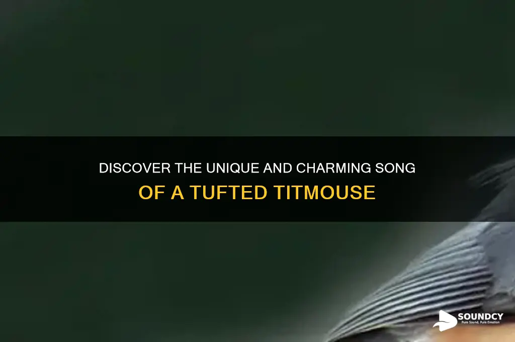 how does a tufted titmouse sound