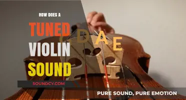 The Art of Tuning: How a Perfectly Tuned Violin Sounds