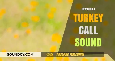 Mastering Turkey Calls: Understanding the Unique Sounds of Turkey Vocalizations