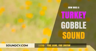 Understanding the Unique Gobble: How Turkeys Communicate with Their Iconic Sound