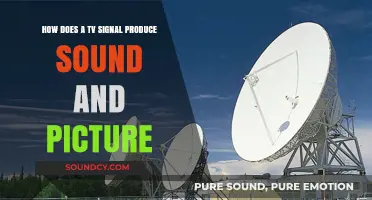 How TV Signals Create Sound and Picture: The Science Explained