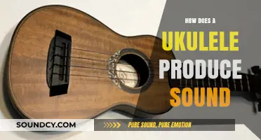 Unveiling the Magic: How a Ukulele Creates Its Unique Sound