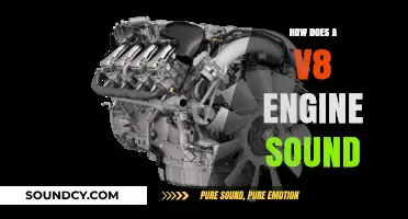 The Roaring Symphony: Unveiling the Iconic Sound of a V8 Engine