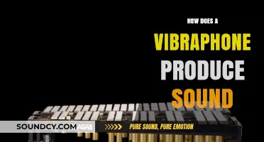 Vibraphone Sound Production: Exploring the Mechanics Behind Its Unique Tone