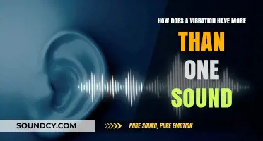 Unraveling the Mystery: How Vibrations Produce Multiple Sounds