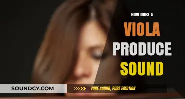 Understanding the Viola: How Its Structure Creates Rich, Resonant Sound