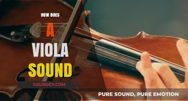 Exploring the Rich, Warm, and Distinctive Sound of the Viola