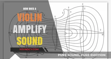 How Violins Amplify Sound: The Science Behind Their Resonance