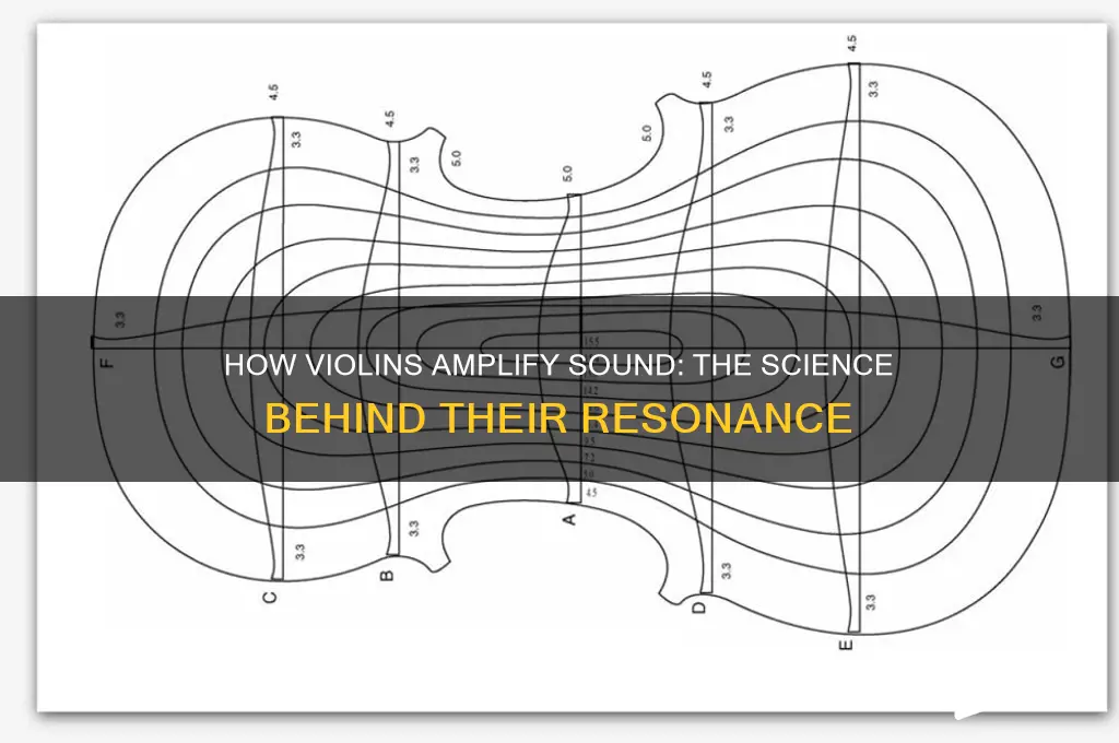how does a violin amplify sound