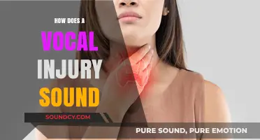 Recognizing Vocal Injury: What a Damaged Voice Sounds Like