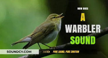 Exploring the Unique and Enchanting Sounds of Warbler Birdsong