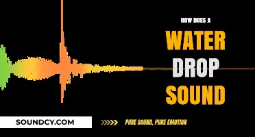 The Soothing Symphony of a Water Drop: Unraveling Its Unique Sound