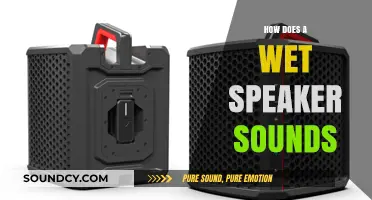 Wet Speaker Sound: Effects, Causes, and How to Fix It
