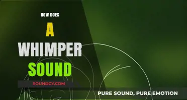 Understanding the Soft, Subtle, and Emotional Tone of a Whimper Sound