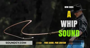 Unraveling the Science Behind the Crack: How Whips Make Sound
