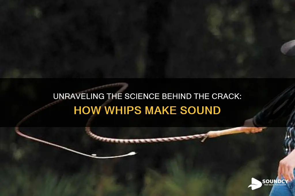how does a whip sound