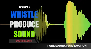 Understanding the Science Behind How Whistles Create Sound Waves