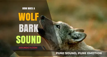 Unveiling the Unique Sound: How Does a Wolf Bark Differ?