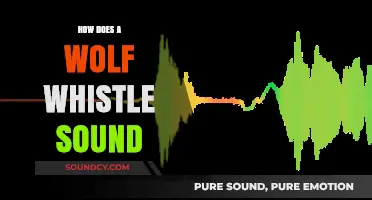 Unveiling the Distinctive Sound of a Wolf Whistle: A Comprehensive Guide