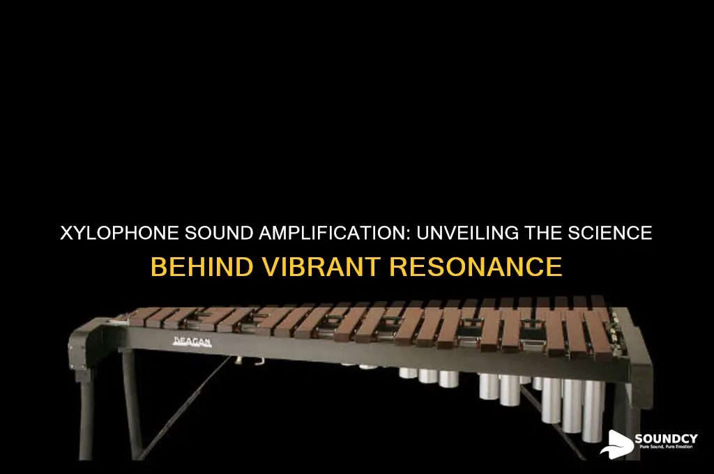 how does a xylophone amplify sound