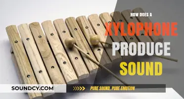 Unveiling the Science: How Xylophones Create Vibrant Musical Sounds