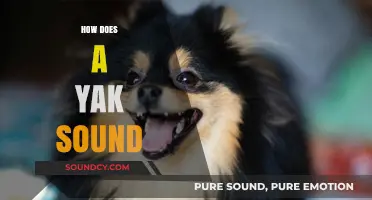 Unveiling the Unique Vocalizations: How Does a Yak Sound?