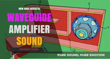Exploring the Rich, Clear Sound of Acoustic Waveguide Amplifiers
