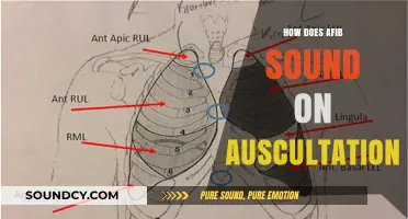 Recognizing Atrial Fibrillation: Auscultation Sounds and Rhythm Clues