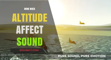 How Altitude Alters Sound: Exploring the Effects of Elevation