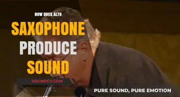 Unveiling the Alto Saxophone's Sound Production Secrets and Mechanics